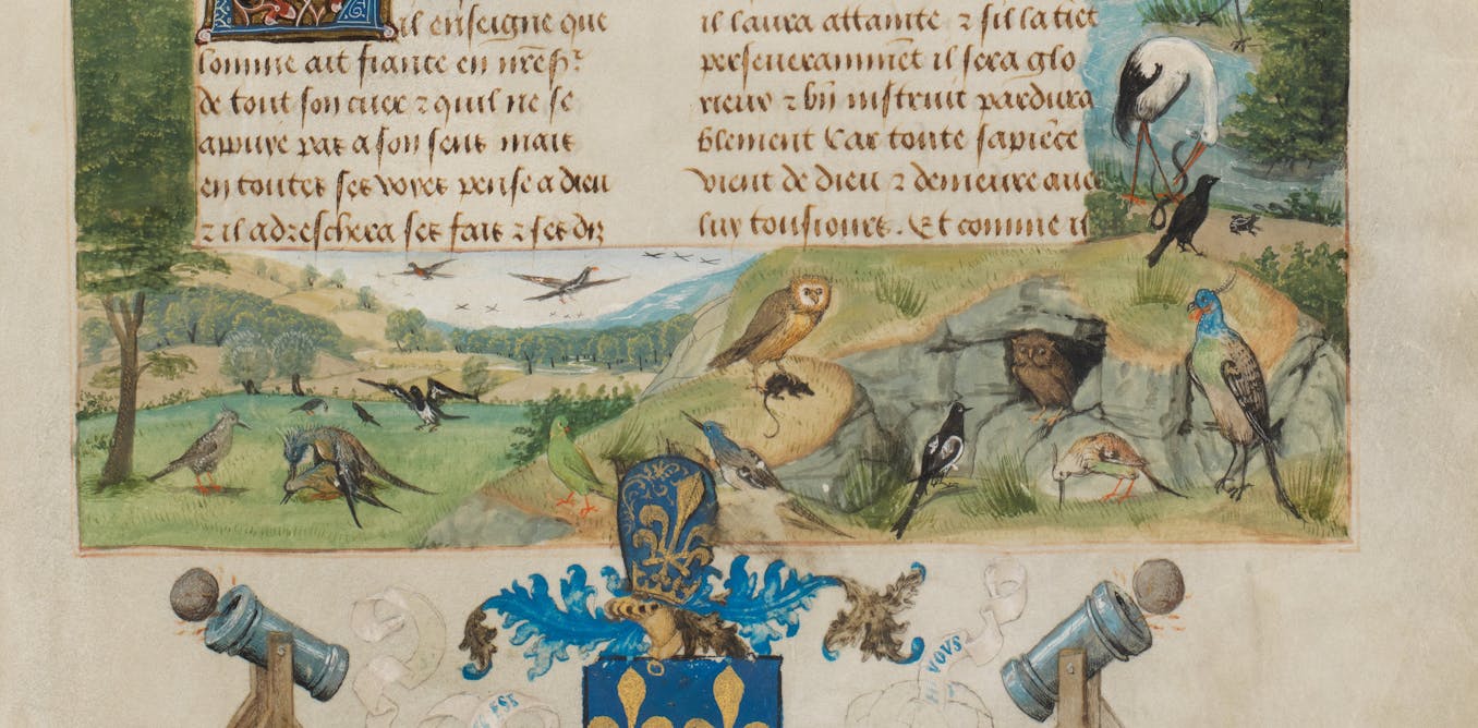 Bird sex fascinated medieval thinkers as much as people today Bird sex fascinated medieval thinkers as much as people today