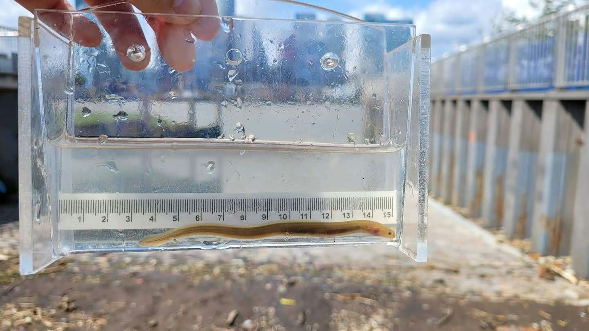 file 20251111 66 2t1240.jpg?ixlib=rb 4.1