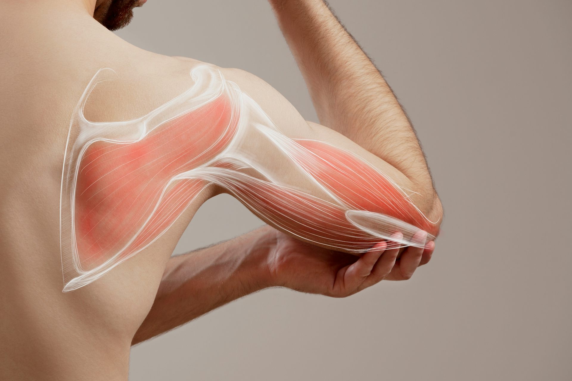 A man holds up his flexed arm. There is a drawing of muscle tissue superimposed on top of his skin.