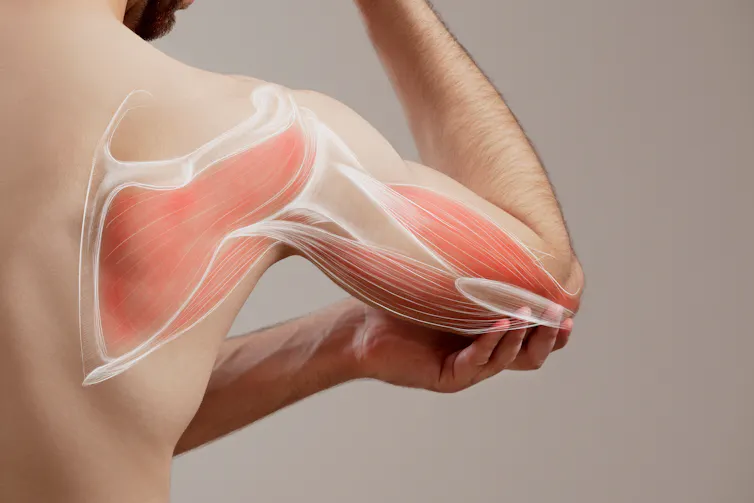 A man holds up his flexed arm. There is a drawing of muscle tissue superimposed on top of his skin.