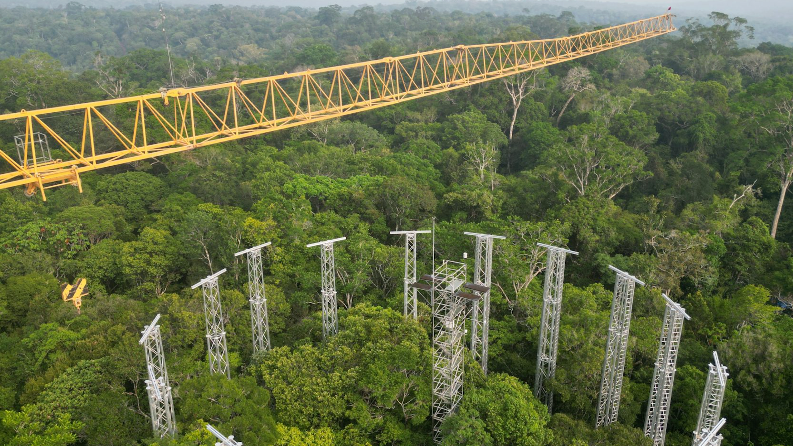 Como o programa AmazonFACE, em fase final de implantação, vai revelar como a floresta resistirá às mudanças climáticas