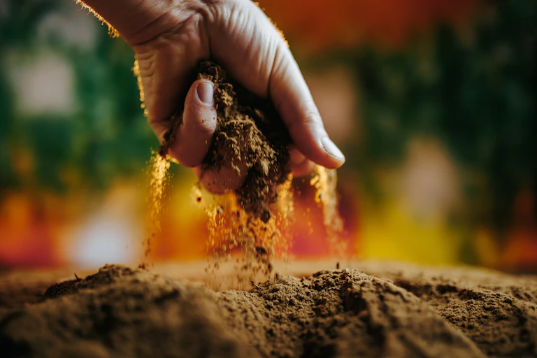 hand holding soil and dropping it