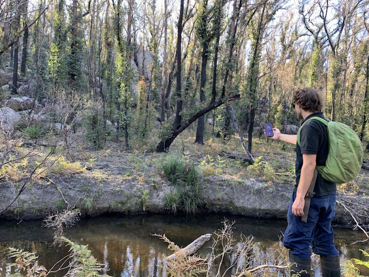 A researcher wearing a backpack holds up his phone near a waterhole to listen for frog calls.
