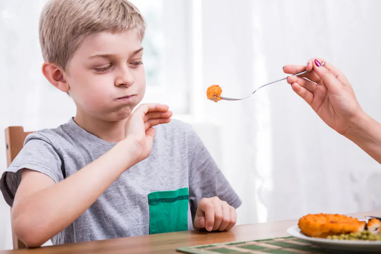 A young boy refuses the breaded meat which is being offered to him on a fork by another person.