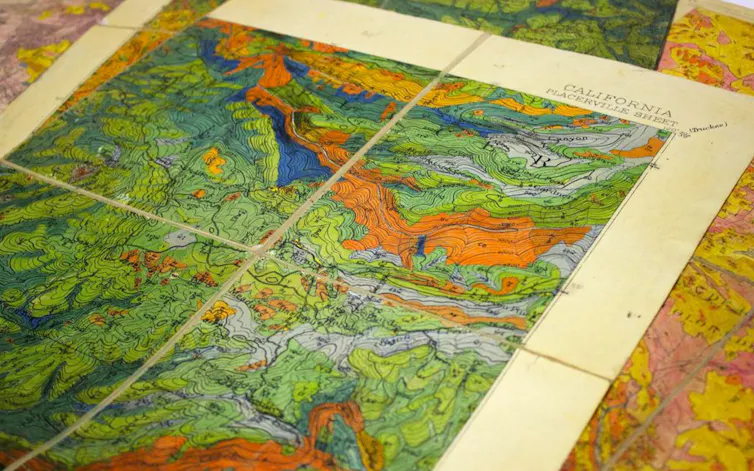 Tree Type Map California California’s majestic trees are declining — a harbinger of future forests