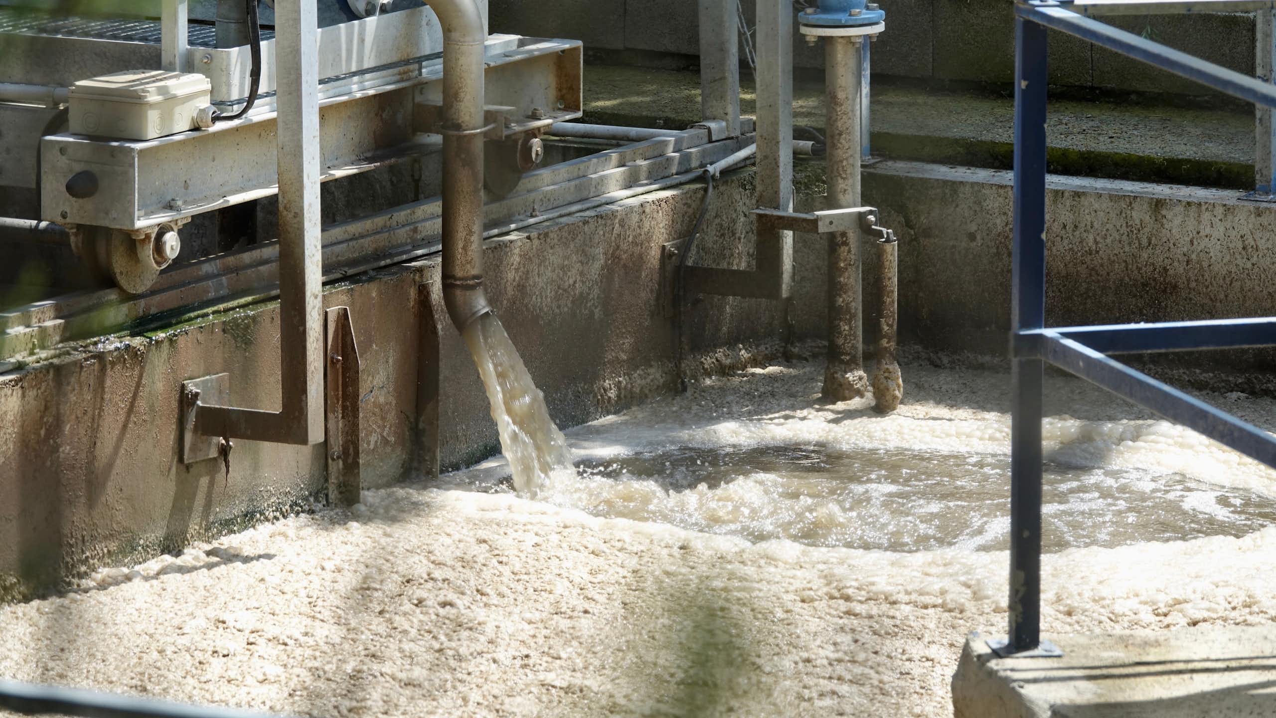Agua de color marrón cae por una tubería a un tanque donde una espuma recubre la superficie del líquido
