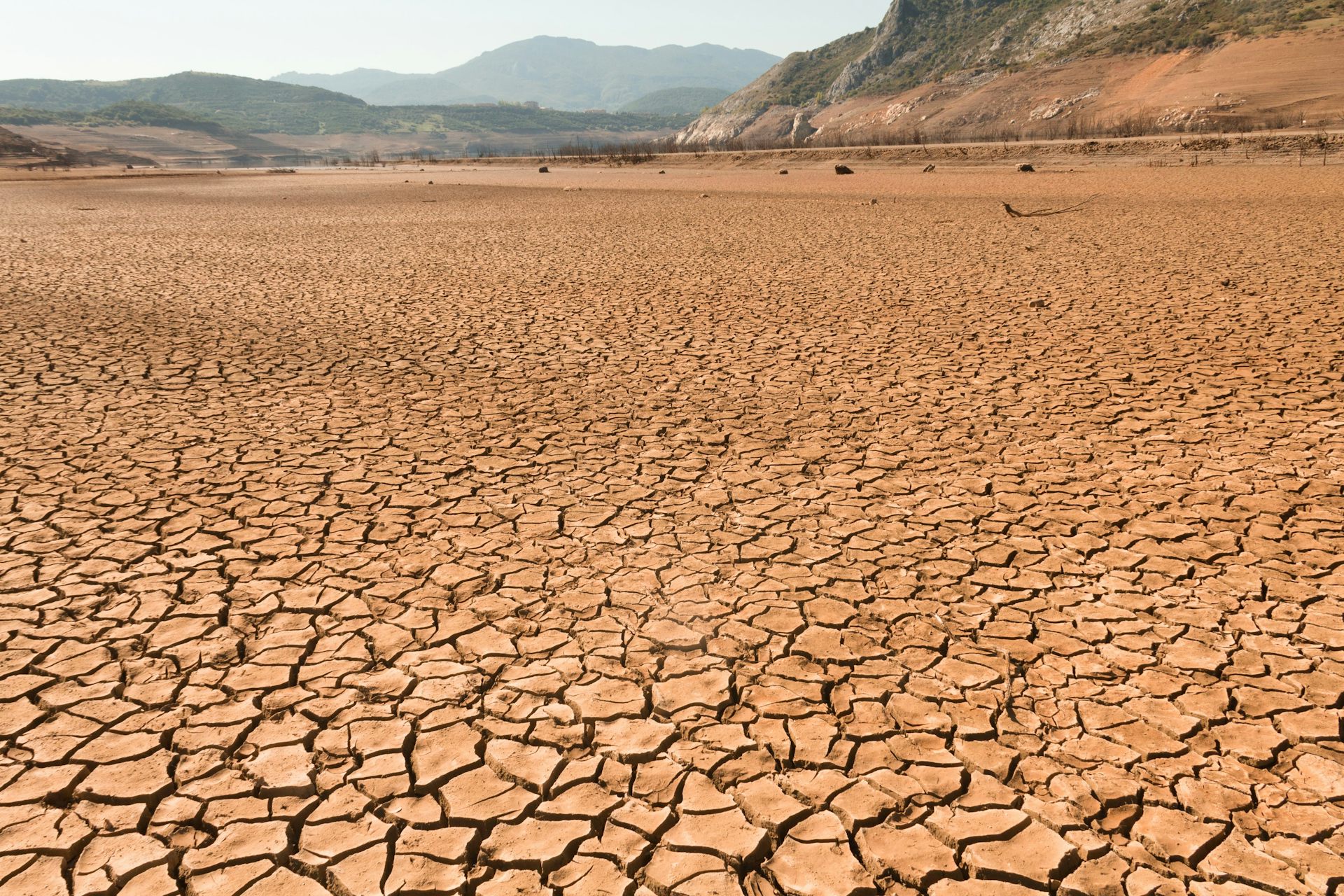 Terreno agrietado por la falta de agua