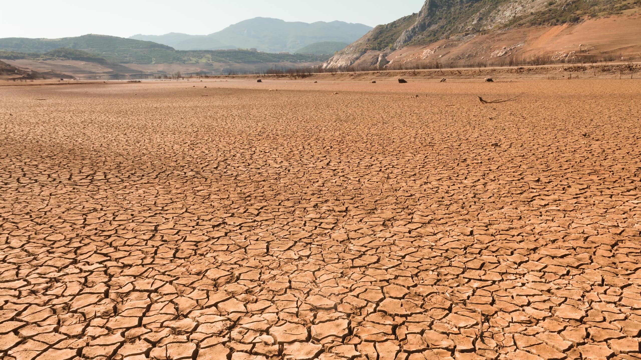 Terreno agrietado por la falta de agua