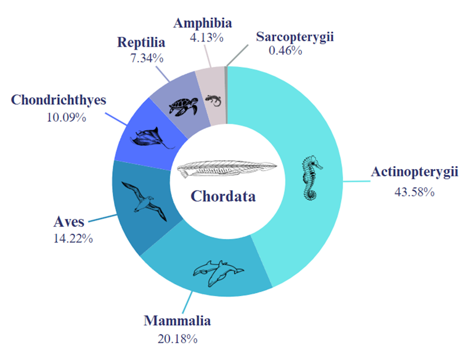 Las estrategias globales de conservación olvidan a las especies acuáticas de ríos, lagos y arroyos – The Conversation