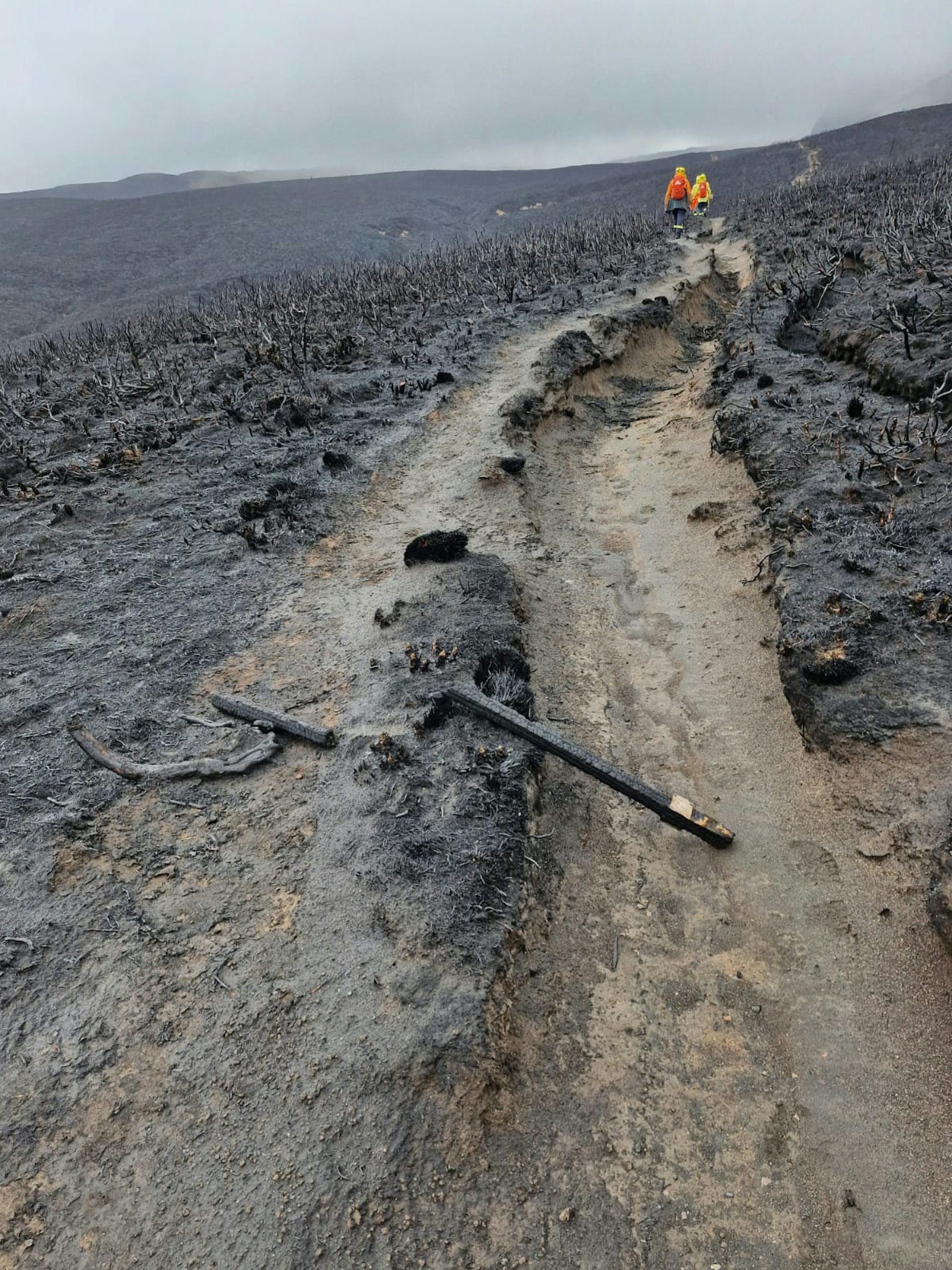 The fire is out, but Tongariro is now at risk of losing its unique biological legacy