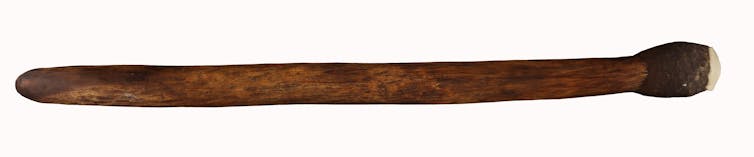 An Aboriginal stone tool on a wooden handle.