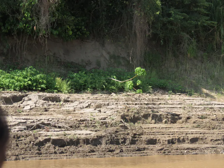 soil layers on riverbank