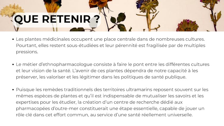 Medicinal crops: validating custom, combating possibility 4 file 20251113 76 5zoafi.jpg?ixlib=rb 4.1