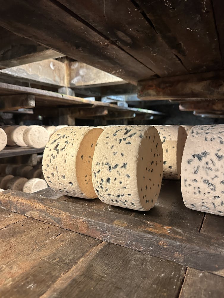 Why some cheeses lined in mould can also be eaten, however rotten meat is rarely: toxicologist's recommendation on precautions 2 Roquefort cellar
