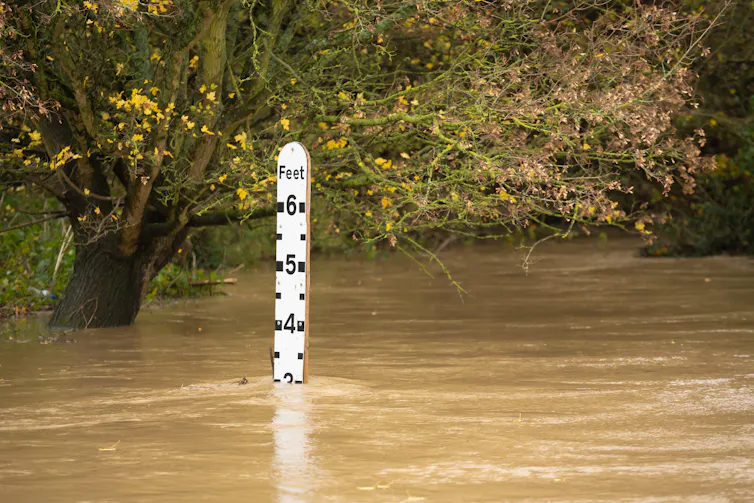 river gauge water level, flooded waters