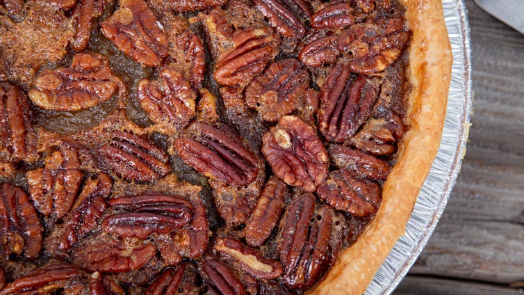 file 20251113 56 e454f1.jpg?ixlib=rb 4.1