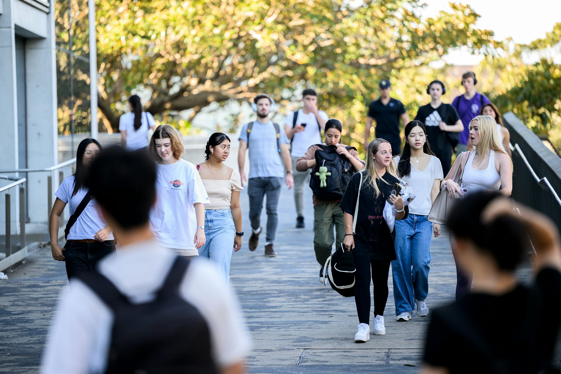 Young people walk over a footbridge. A large tree is in the background.