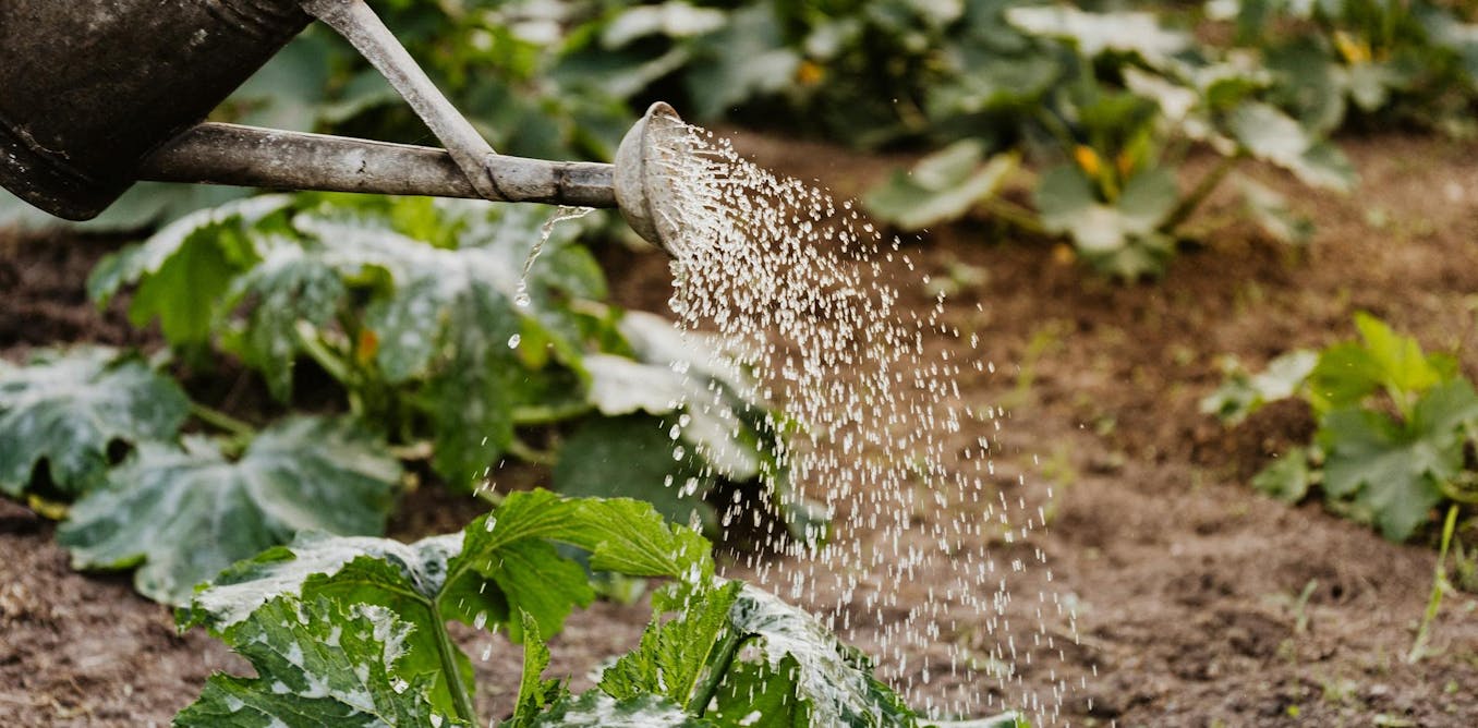 Living with PFAS ‘forever chemicals’ can be distressing. Not knowing if they’re making you sick is just the start Living with PFAS ‘forever chemicals’ can be distressing. Not knowing if they’re making you sick is just the start