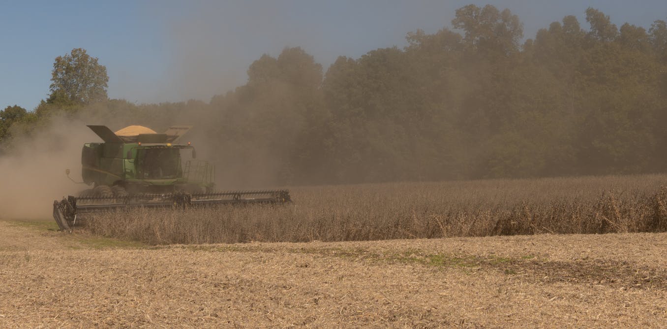 Farmers – long Trump backers – bear the costs of new tariffs, restricted immigration and slashed renewable energy subsidies Farmers – long Trump backers – bear the costs of new tariffs, restricted immigration and slashed renewable energy subsidies