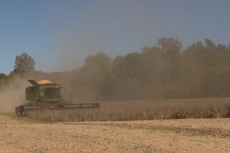 A combine harvester rolls through a field of soybeans.