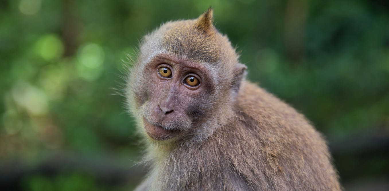 Investigación innovadora demuestra la posibilidad del rejuvenecimiento