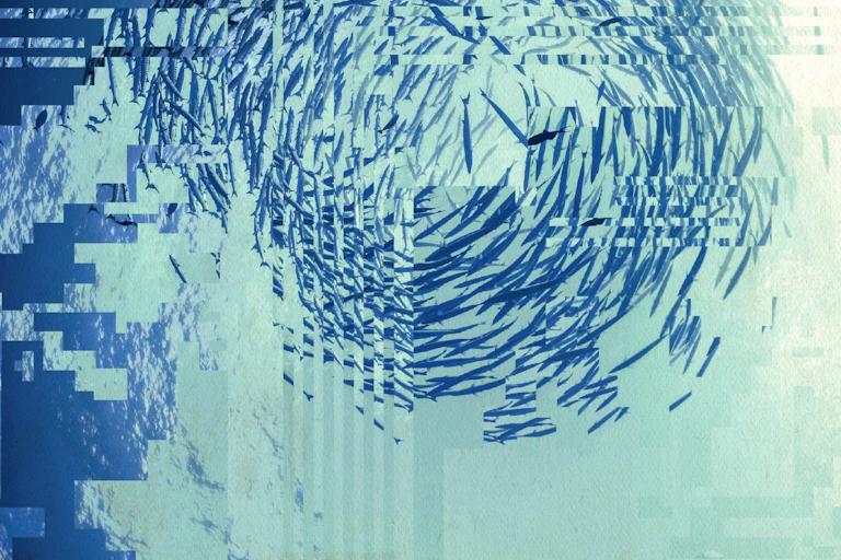 A digitally distorted image of a school of fish