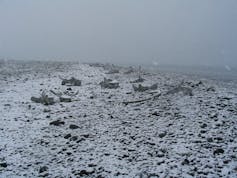 A continent with out ruins? Antarctica, between environmental coverage and reminiscence 2 Whale bones scattered on the coast of the South Shetland Islands, Antarctica.