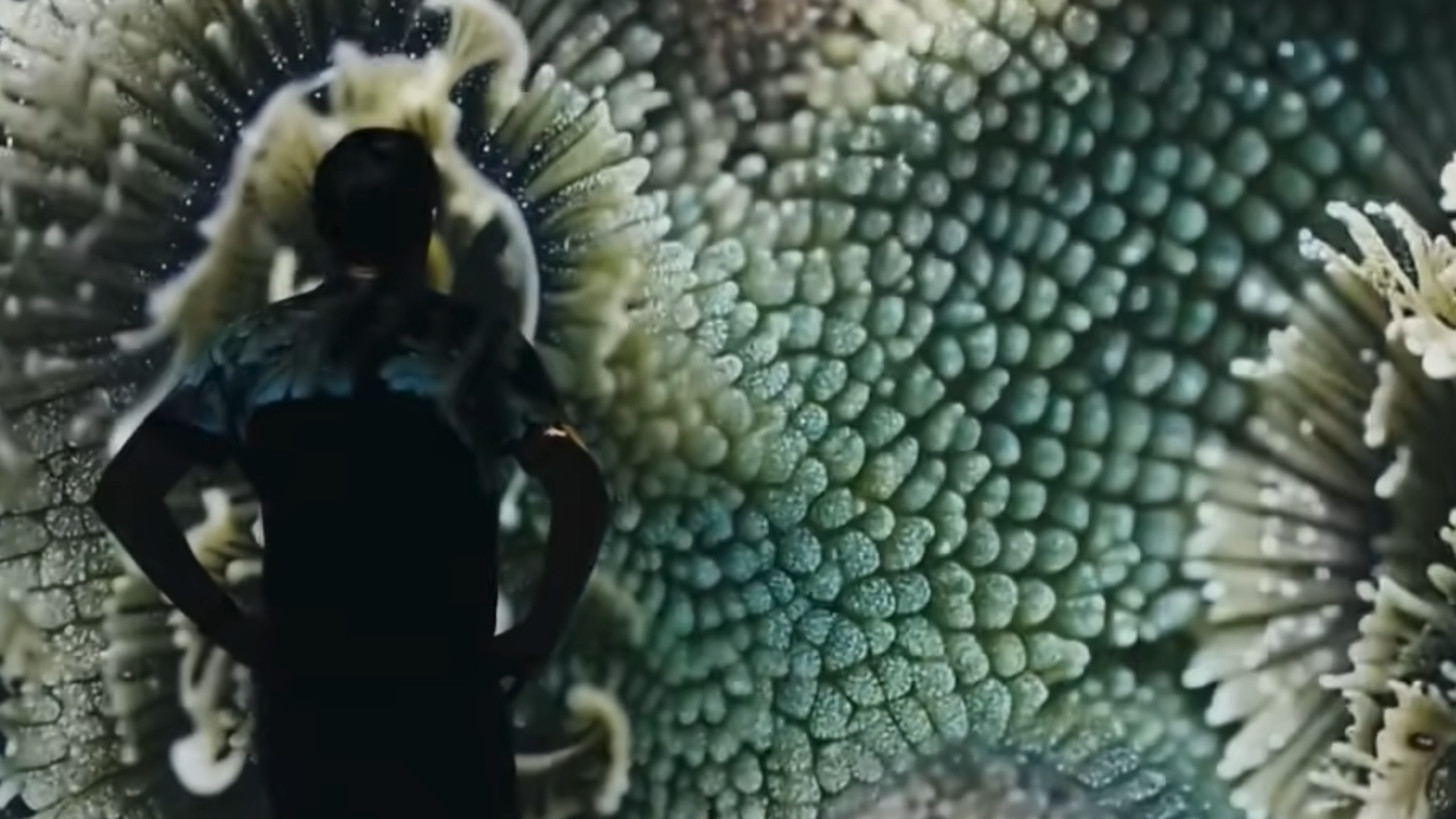 Collaborations art-science : qui ose vraiment franchir les frontières ?