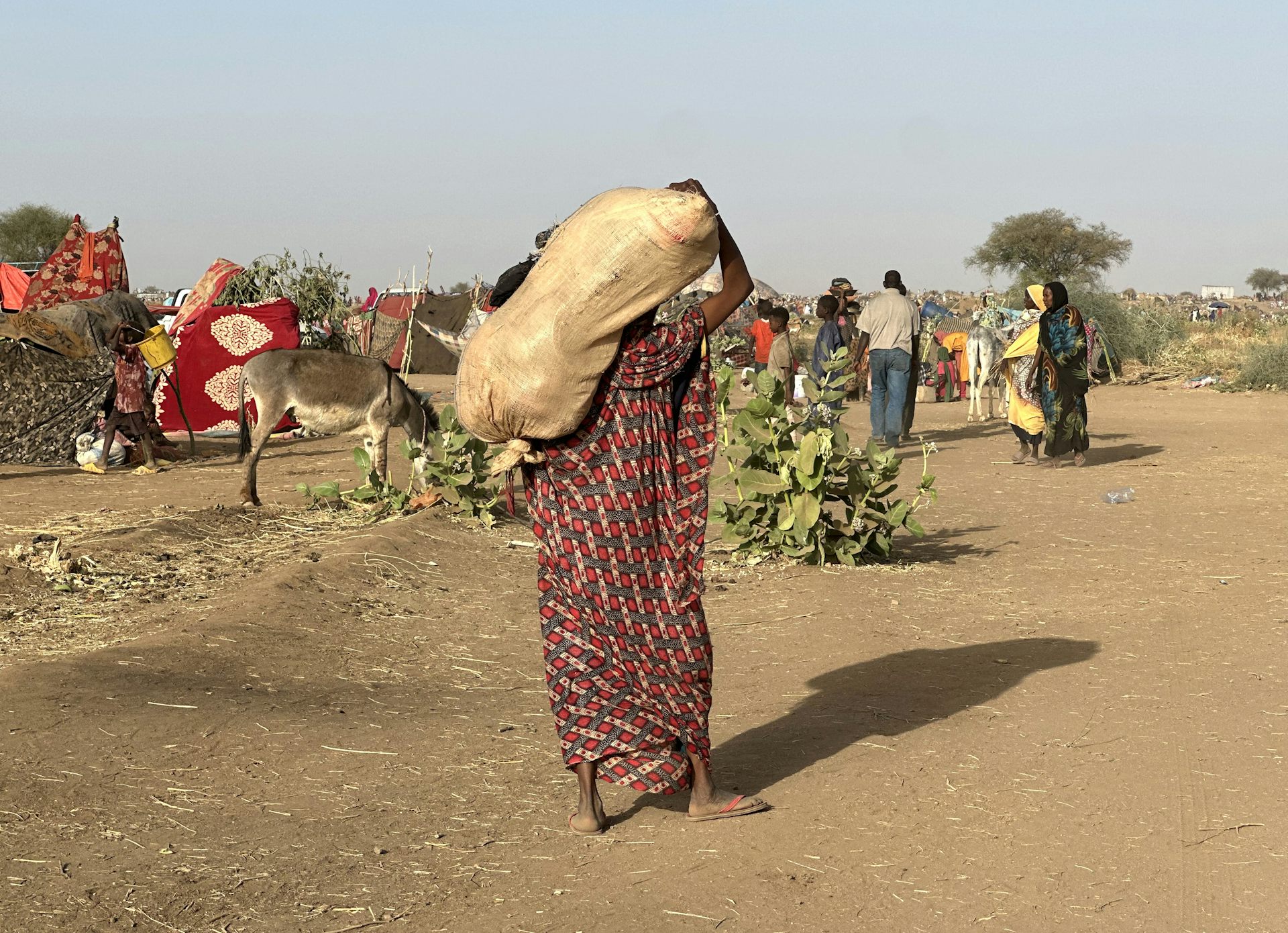 A woman carries a large sack on her back as she walks up a road.