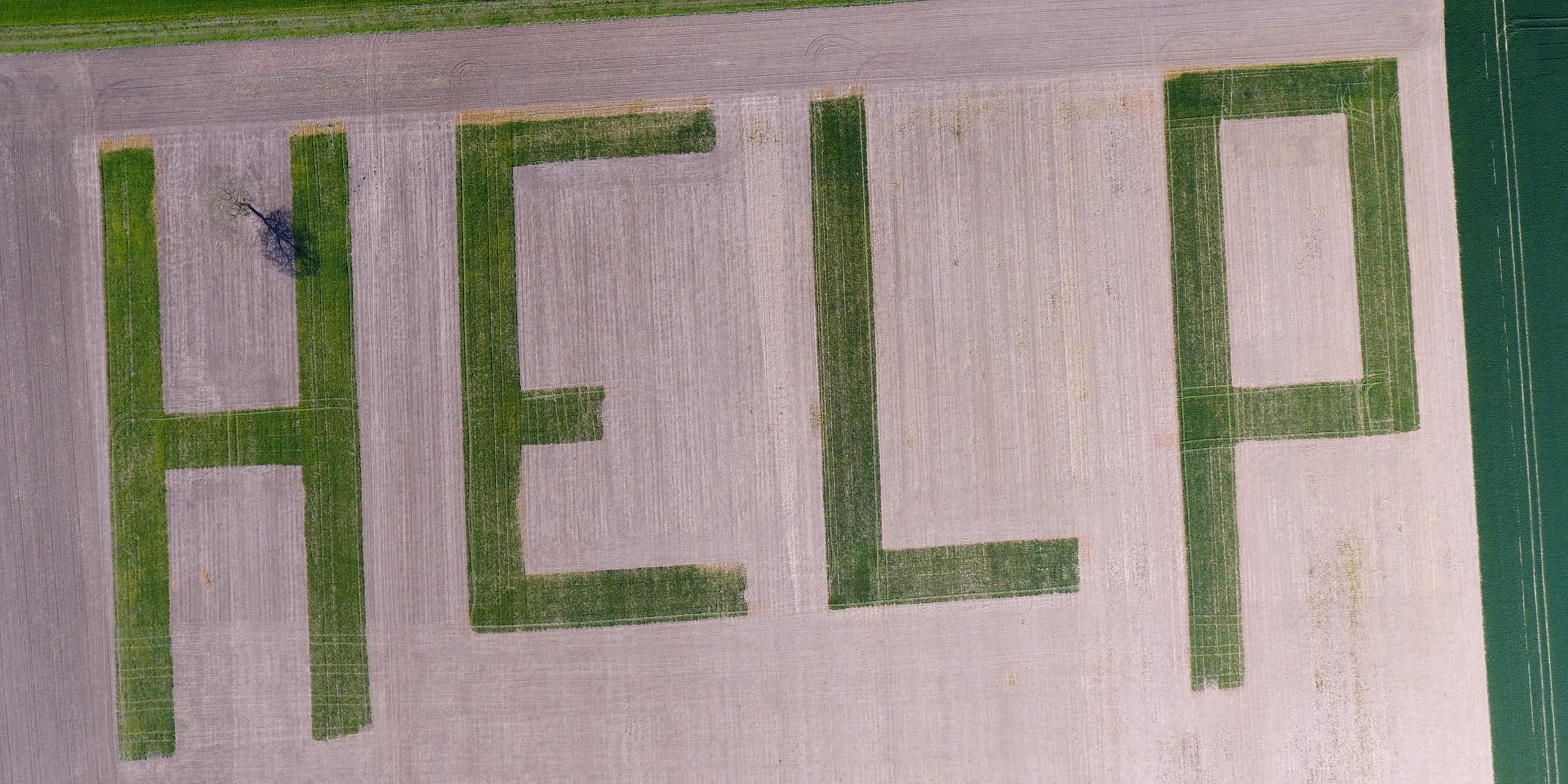 Mal-être au champ : pourquoi les agriculteurs sont-ils plus à risque de suicide ?