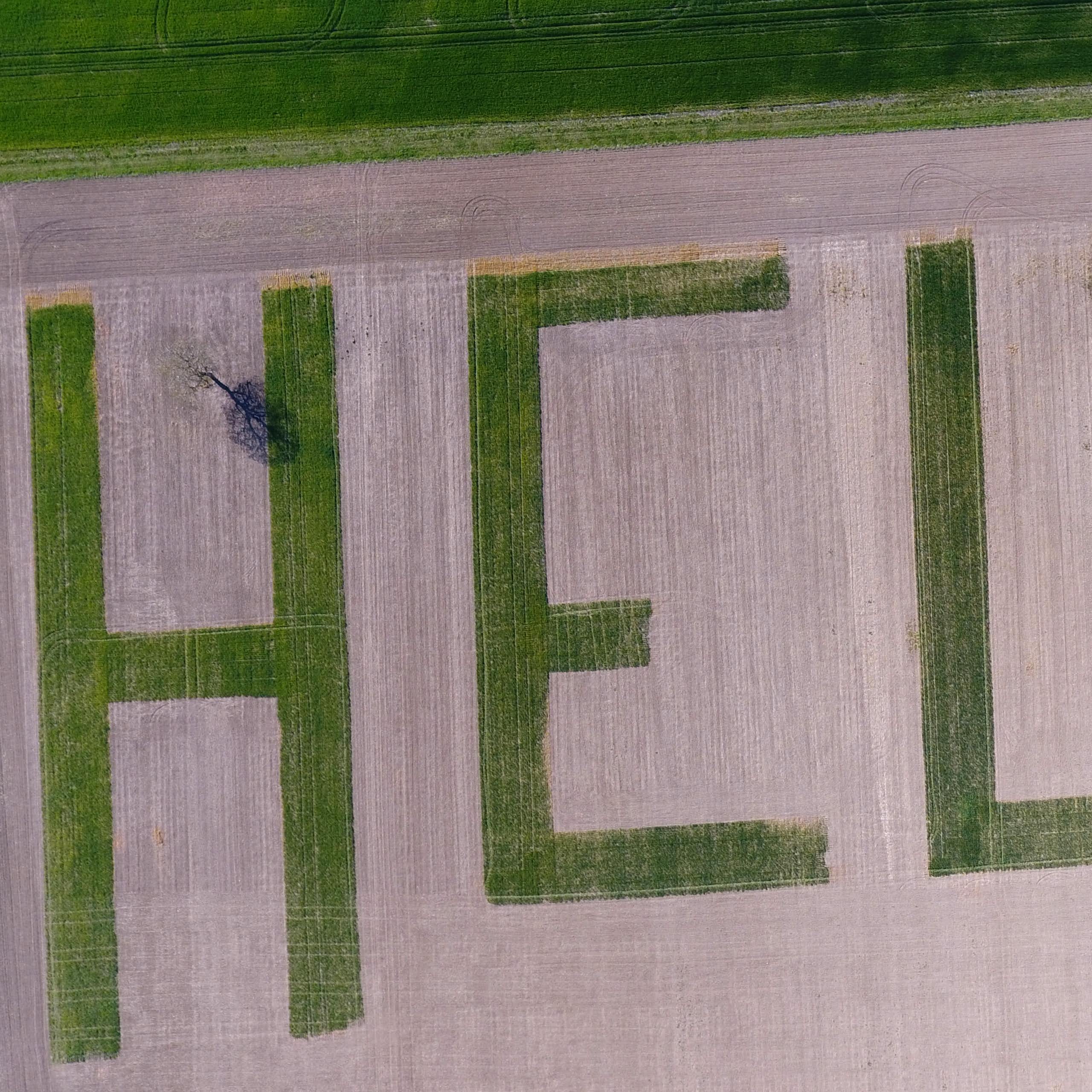 Mal-être au champ : pourquoi les agriculteurs sont-ils plus à risque de suicide ?