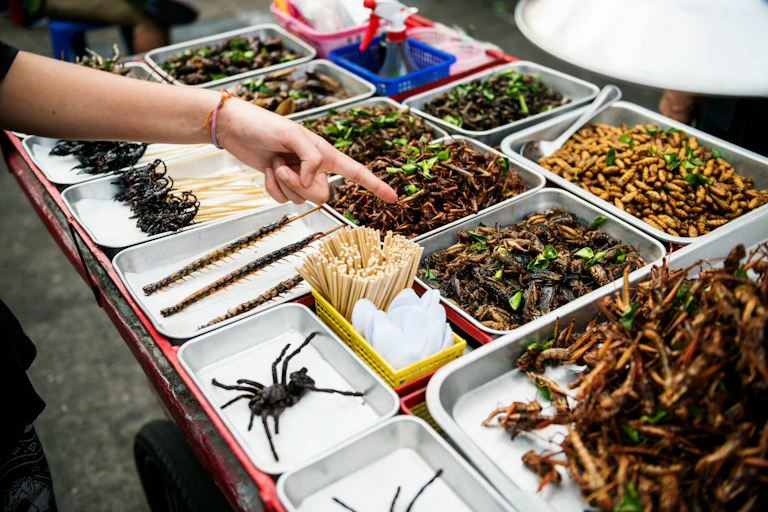Une personne pointe des insectes morts
