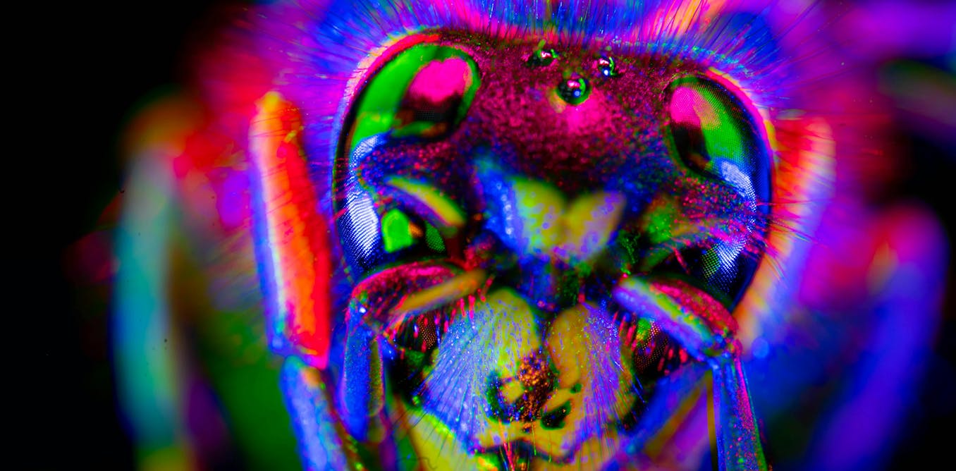 Are Animals and AI Conscious? New Theories for Testing Their Awareness Are Animals and AI Conscious? New Theories for Testing Their Awareness