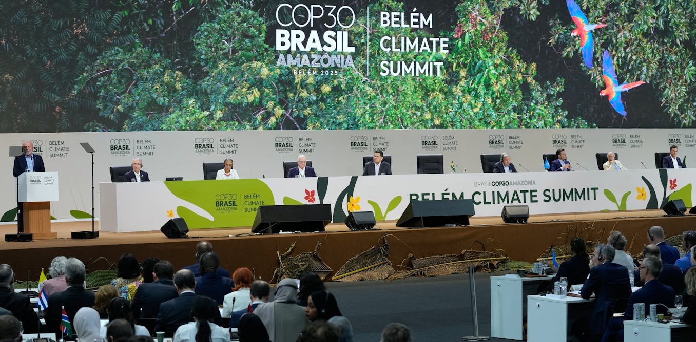 Artificial intelligence is front and centre at COP30 Artificial intelligence is front and centre at COP30