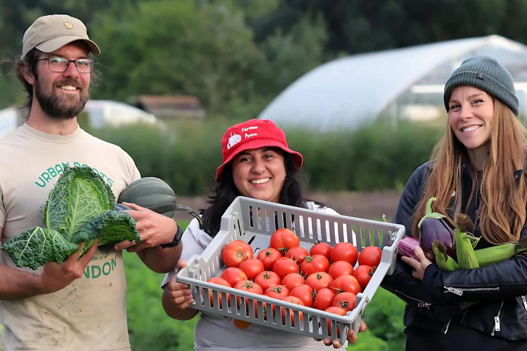 Urban farmers showing harvest.