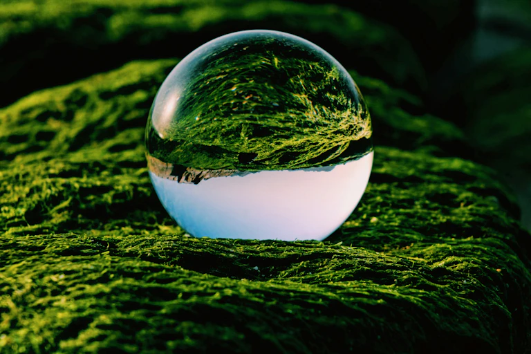 A clear glass ball on green grass.