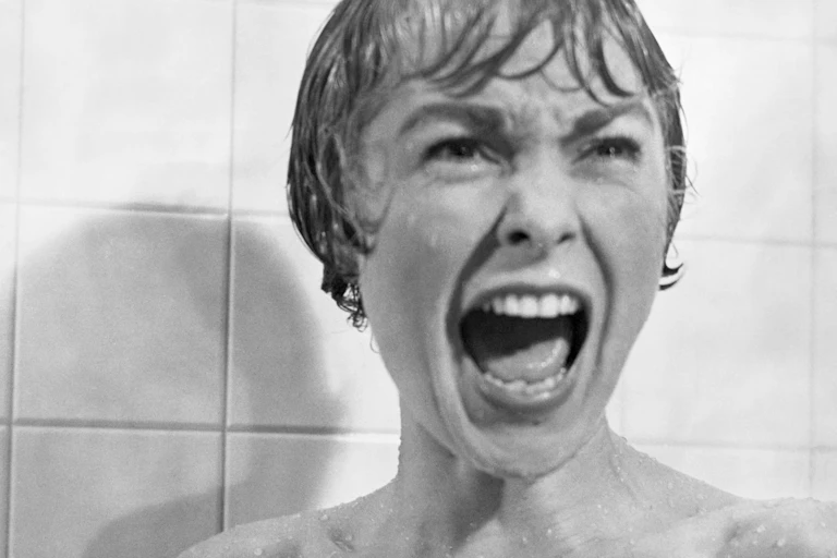 The shower scene from Psycho.