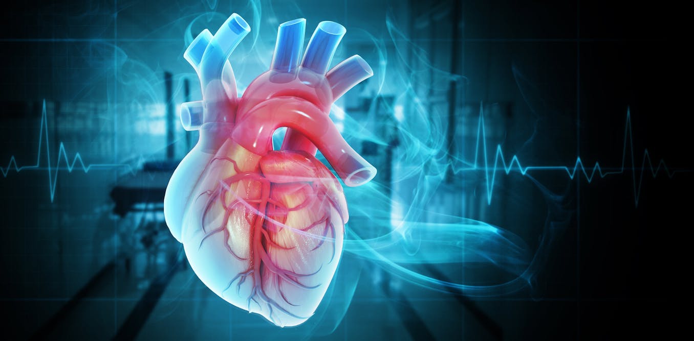 Vice President Dick Cheney’s life followed the arc of the biggest breakthroughs in cardiovascular medicine Vice President Dick Cheney’s life followed the arc of the biggest breakthroughs in cardiovascular medicine