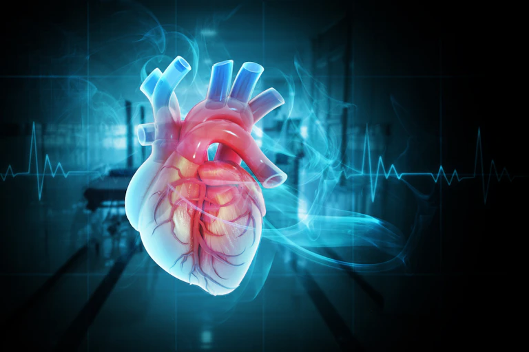 Three-dimensional concept of a human heart on an electrocardiogram background.