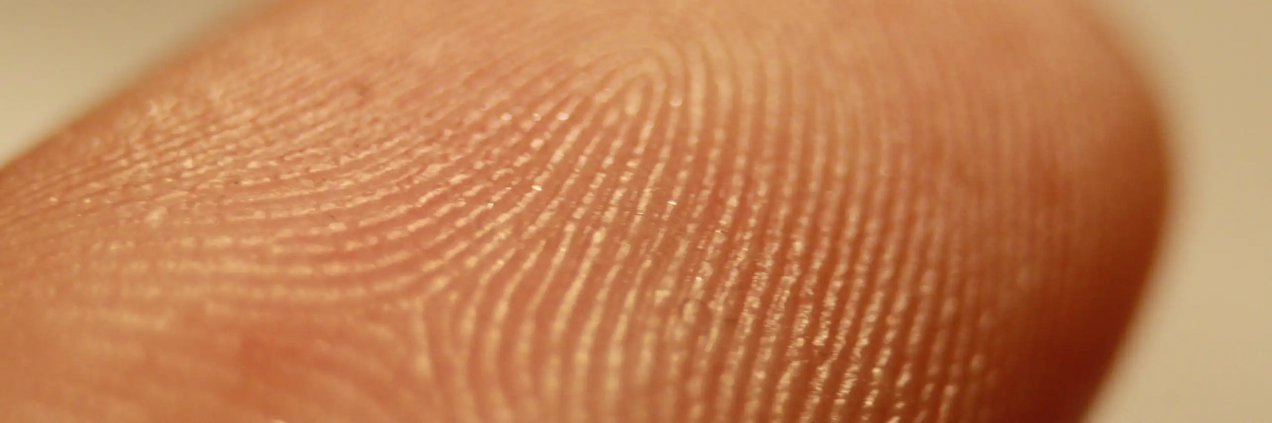 Detalle de la yema de un dedo con su huella digital.