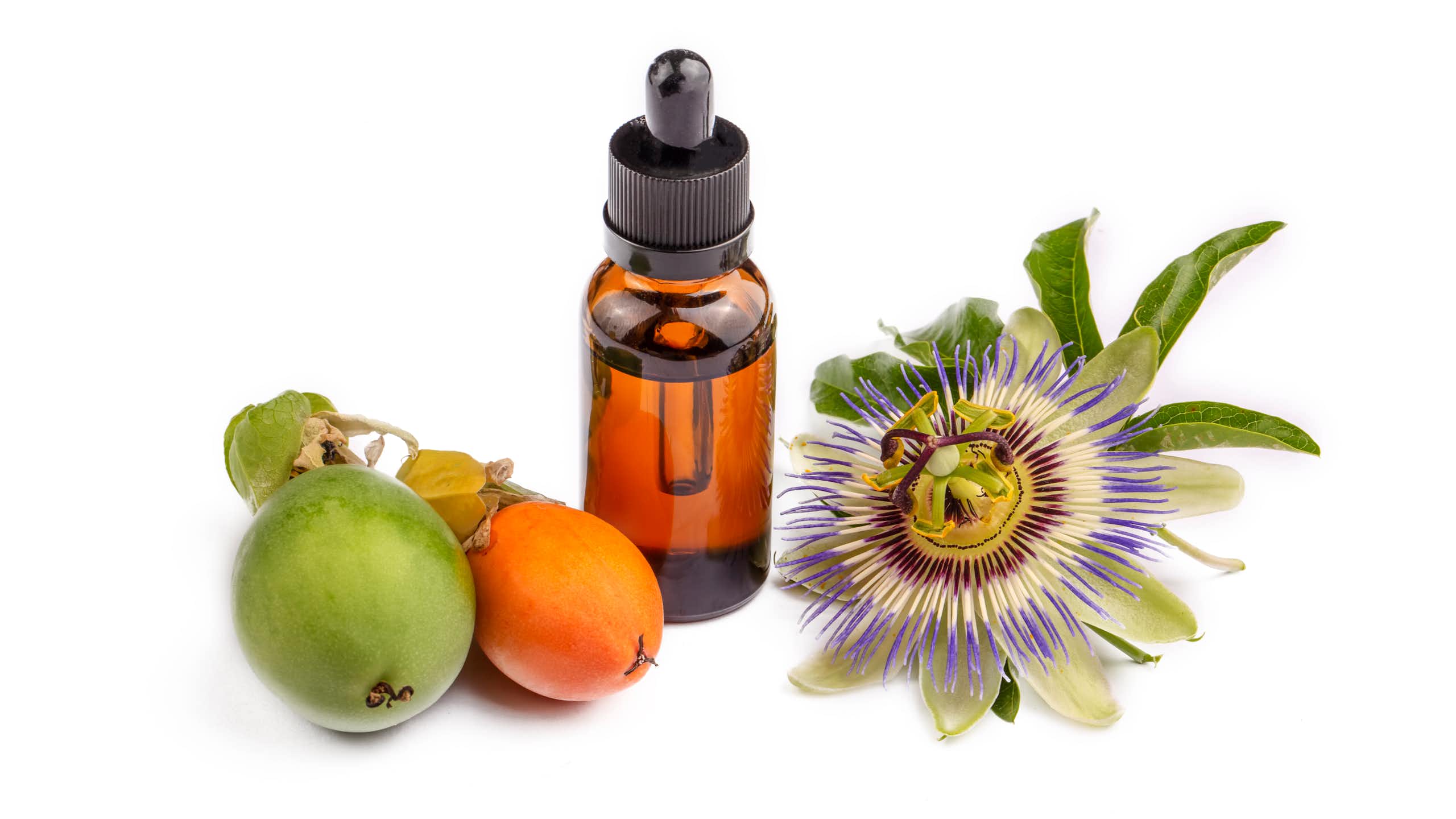 Da floresta ao SUS: investimento público impulsiona a fitoterapia como estratégia de cuidado no Brasil