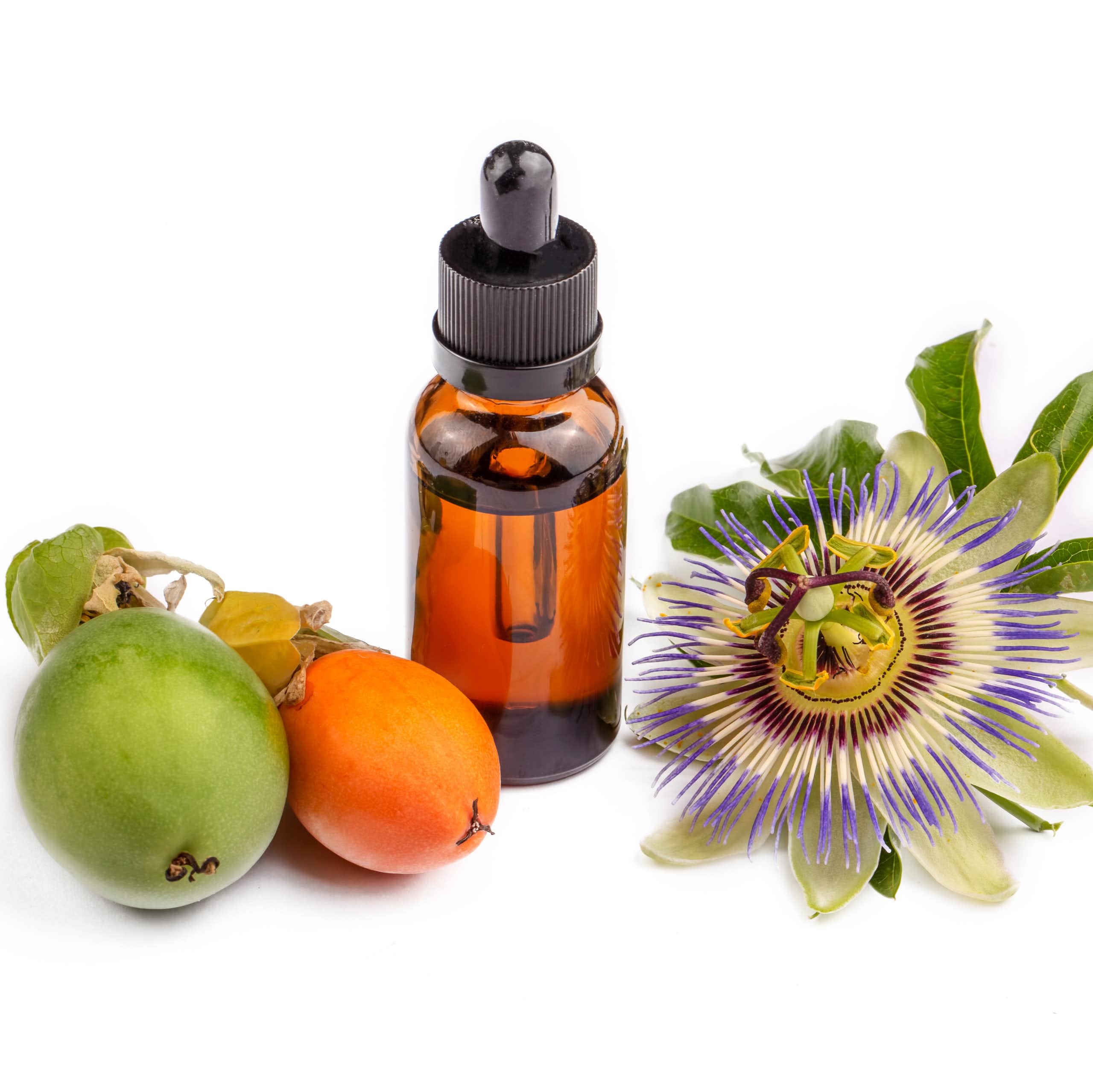 Da floresta ao SUS: investimento público impulsiona a fitoterapia como estratégia de cuidado no Brasil