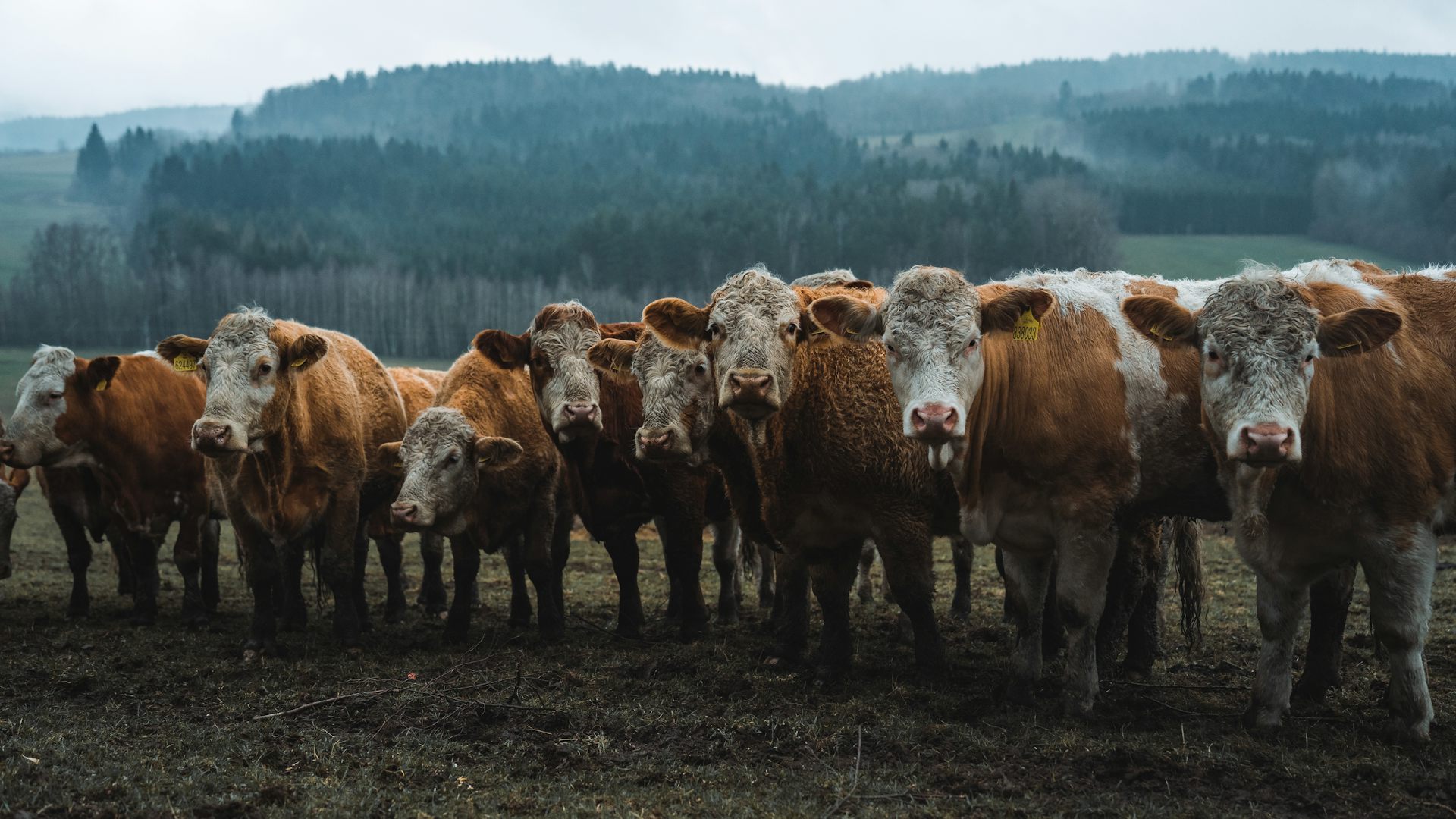 The fast-fix for global warming that the UN climate summit can’t ignore