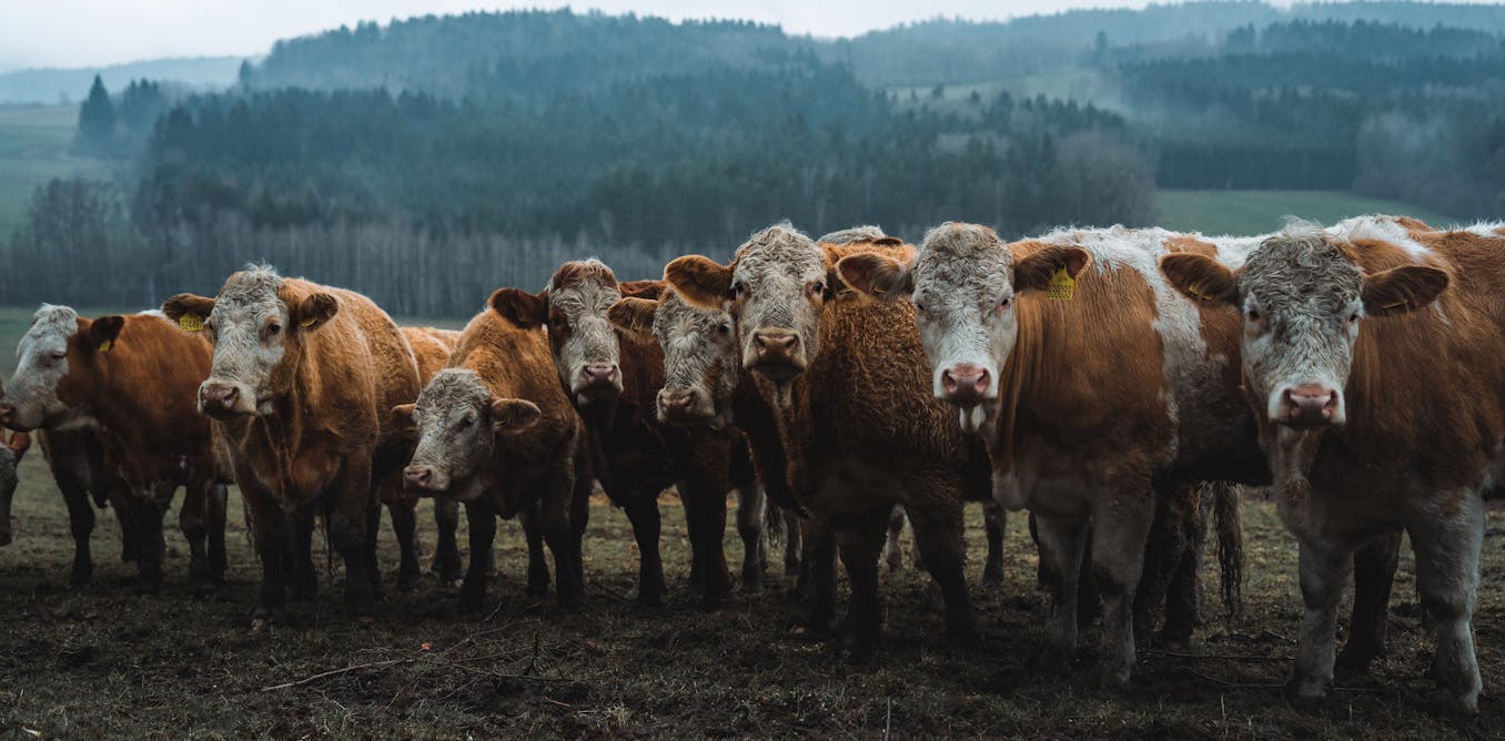 The fast-fix for global warming that the UN climate summit can’t ignore The fast-fix for global warming that the UN climate summit can’t ignore