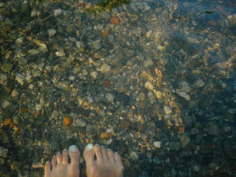 The tops of two feet in the shallow water of a river bank.