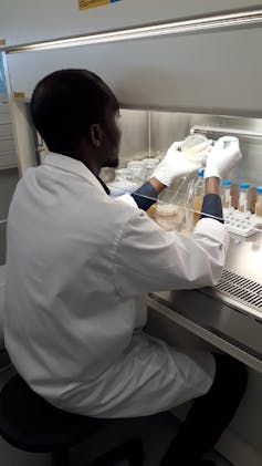 Medicinal crops: validating custom, combating possibility 2 file 20251118 56 8eevou.jpg?ixlib=rb 4.1