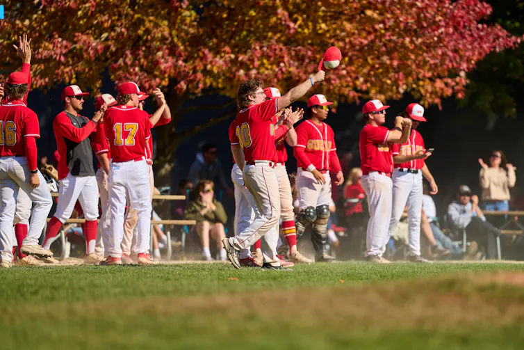 Baseball players in red jerseys celebrate together.