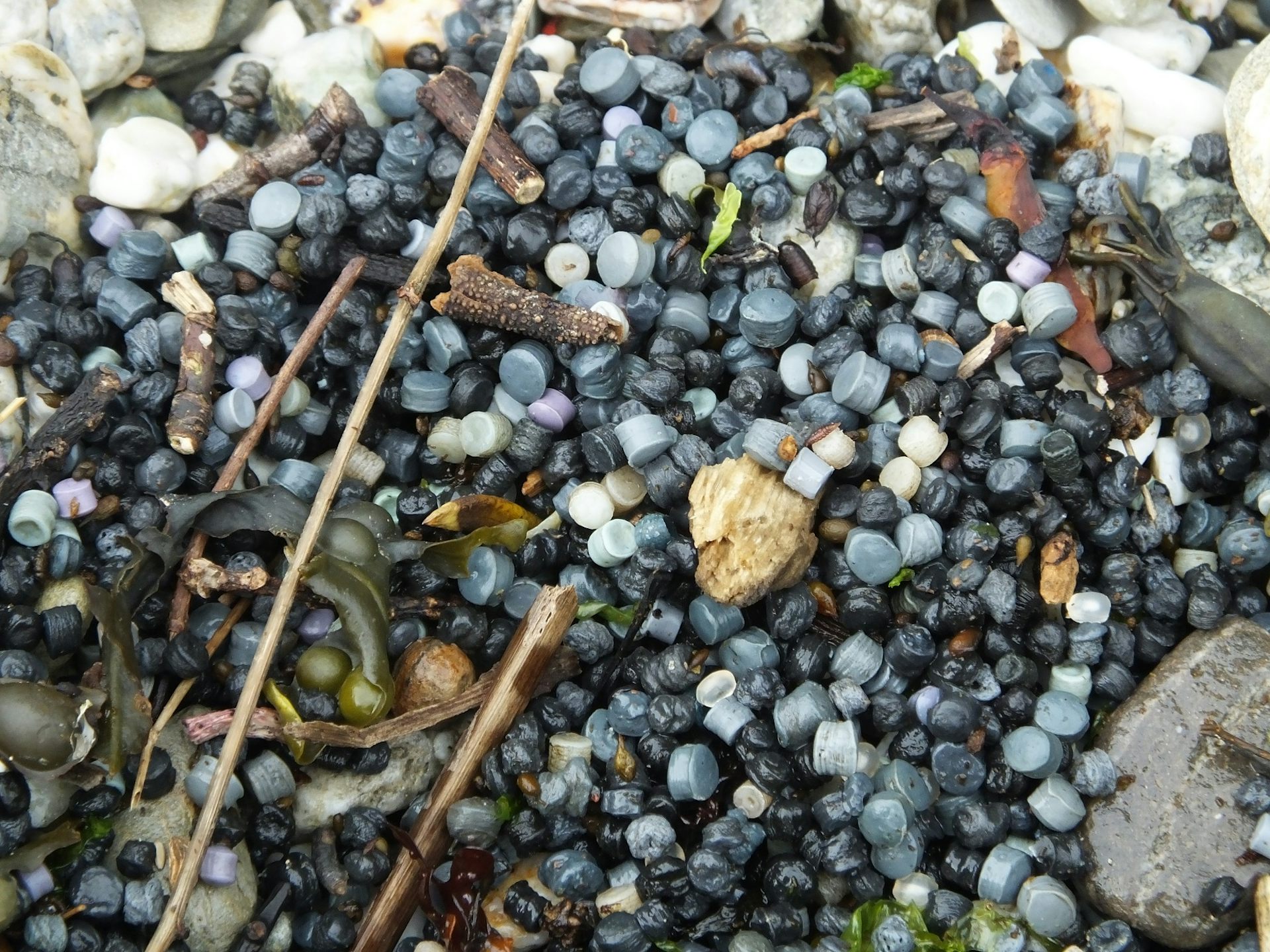 tiny plastic pellets on sand