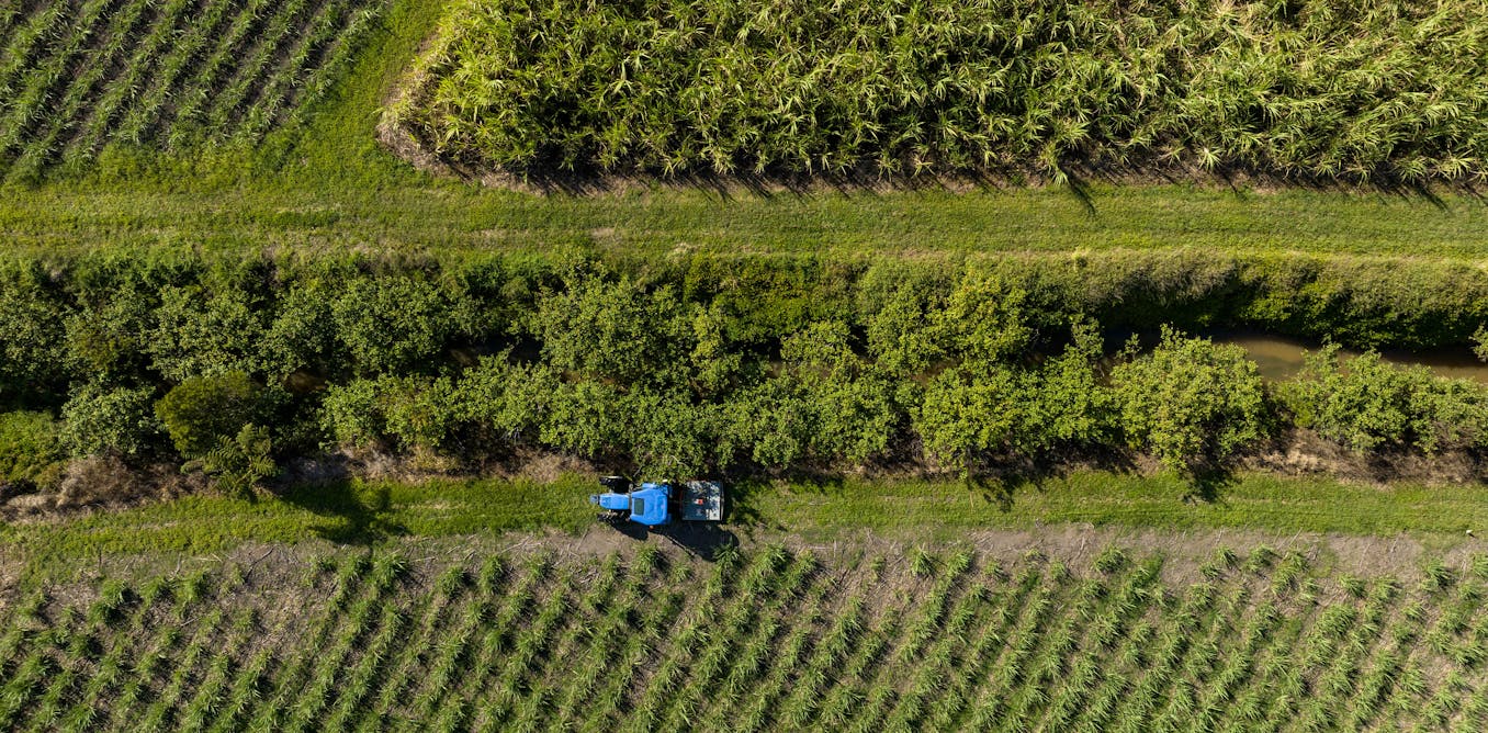 3 ways farming can shift from climate culprit to solution 3 ways farming can shift from climate culprit to solution