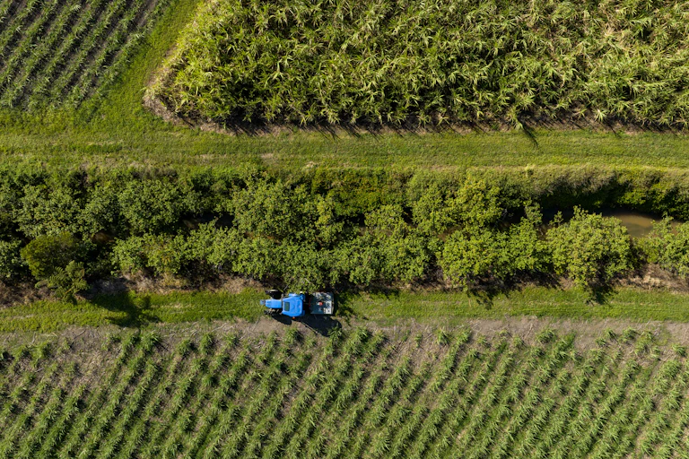 aerial view of lush farm with mixed fields and trees.